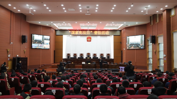 【国家宪法日】尊崇宪法权威 争做守法少年！