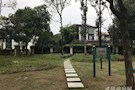 【公益诉讼】武陵区院发出检察建议拆除穿紫河风光带私建“小道”